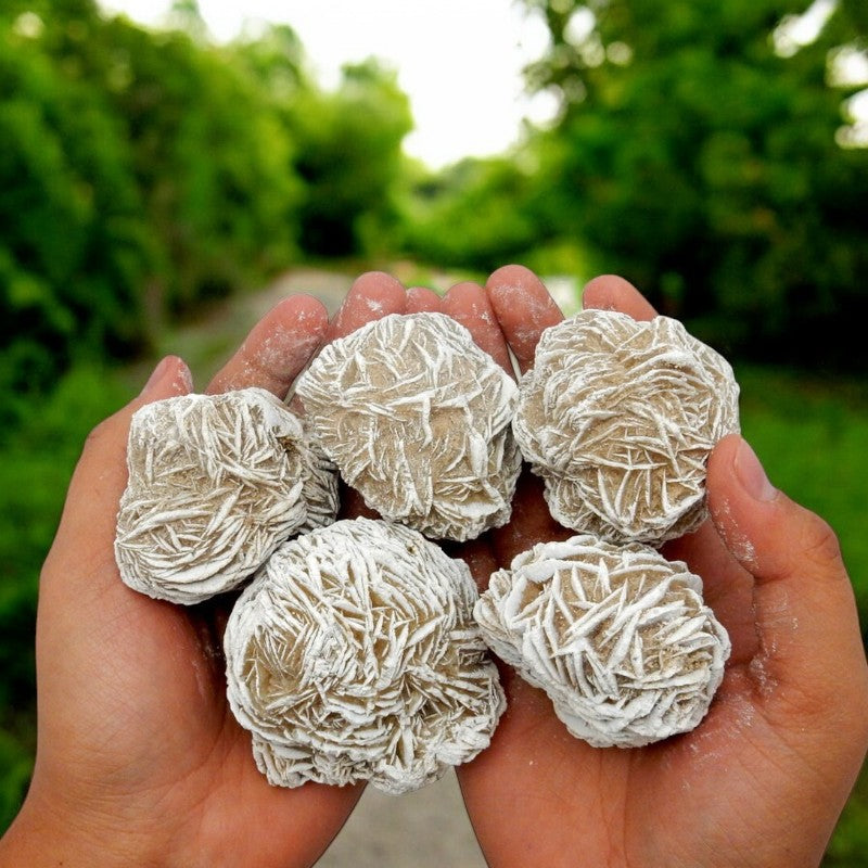 Desert Rose Geode
